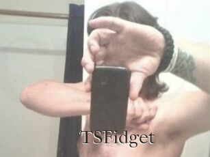 TSFidget