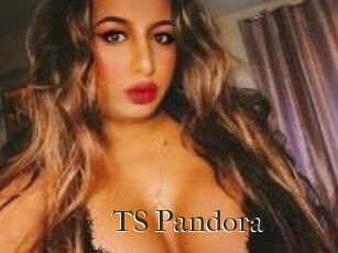 TS_Pandora