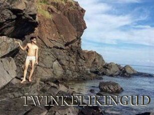 TWINKELIKINGUD