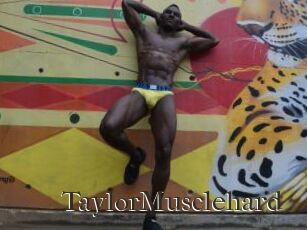 TaylorMusclehard