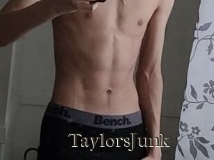 TaylorsJunk