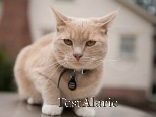 TestAlaric