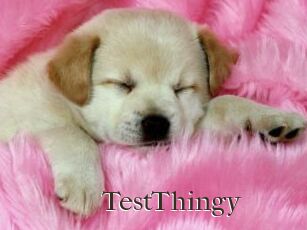 TestThingy