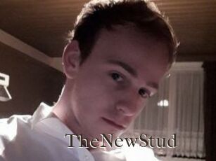 TheNewStud