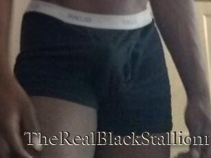 TheRealBlackStallion1