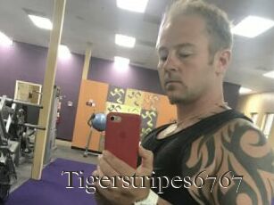 Tigerstripes6767