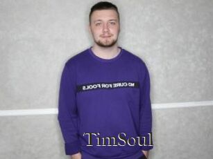 TimSoul