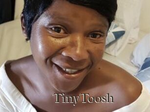 TinyToosh
