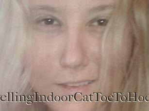 TravellingIndoorCatToeToHoe
