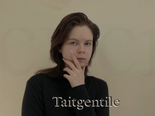 Taitgentile
