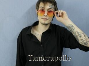 Tamerapollo