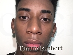 Tammylambert