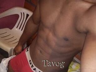 Tavog