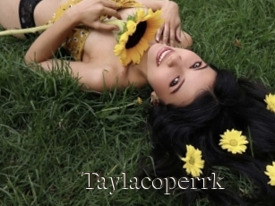 Taylacoperrk