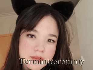 Terminatorbunny