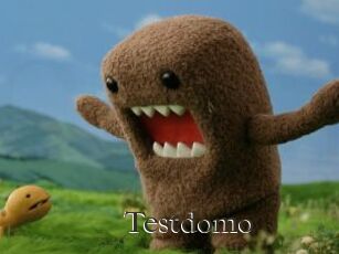 Testdomo