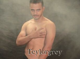 Teylorgrey