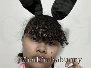 Thatbimbobunny
