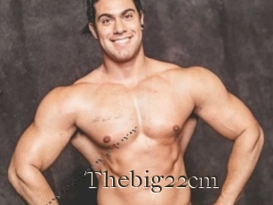 Thebig22cm