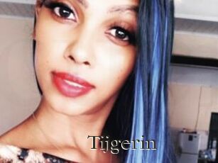 Tijgerin