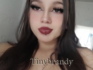 Tinybrandy