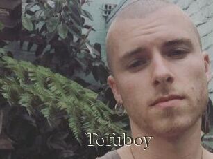 Tofu_boy