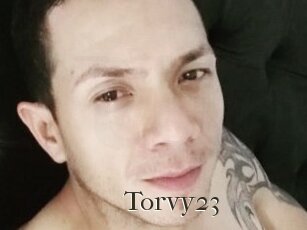 Torvy23