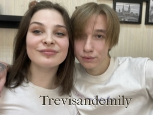 Trevisandemily