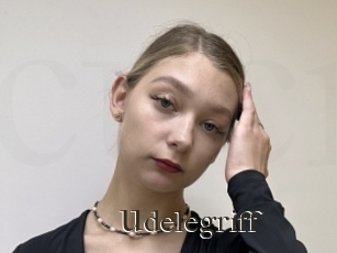 Udelegriff