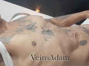 VeinsAdam