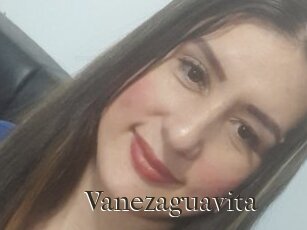 Vanezaguavita