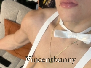Vincentbunny