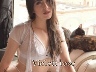 Violett_rose