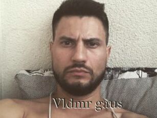 Vldmr_gaus