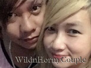 WildnHornyCouple