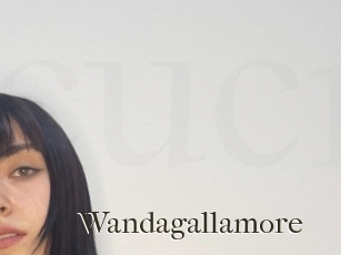 Wandagallamore