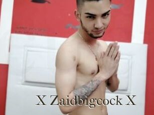 X_Zaidbigcock_X
