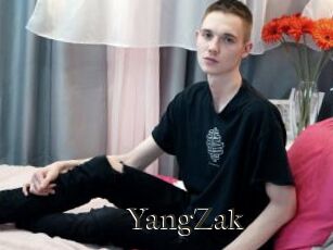 YangZak