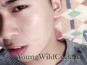 YoungWildCock4u