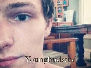 Youngbudstud