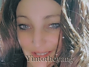 Yintotheyang