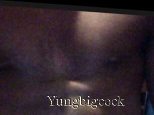 Yungbigcock