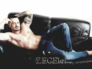 ZECElei