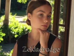 Zeldadrudge