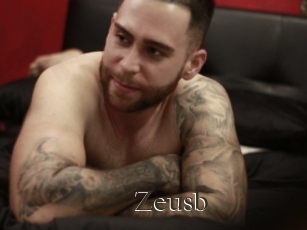 Zeusb
